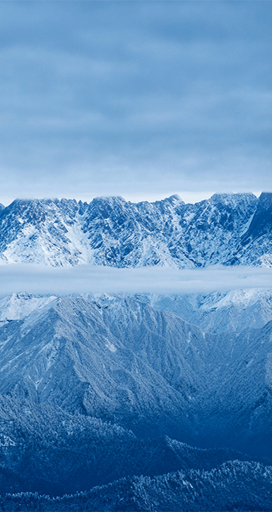 关于304am永利集团